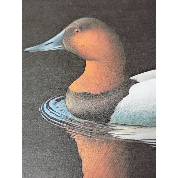 John P Lee 1982 Unframed print Canvasback #8/625 Pencil Signed 11⅛ x 10¼ - Picture 6 of 7